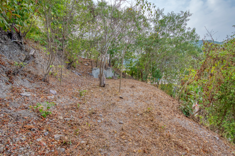 La Manzanilla Realty