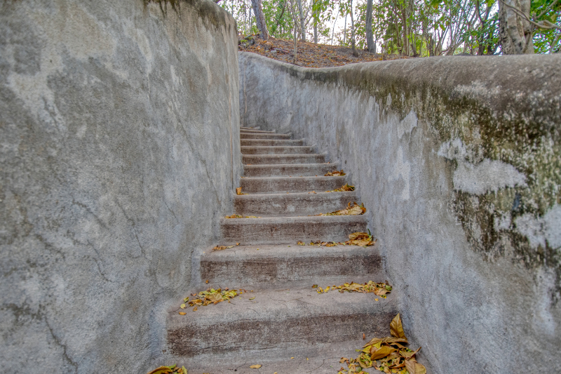 La Manzanilla Realty