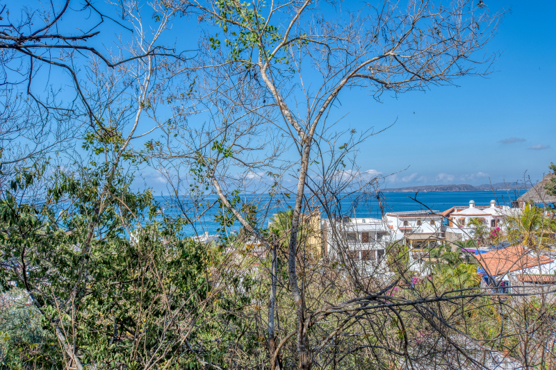 La Manzanilla Realty