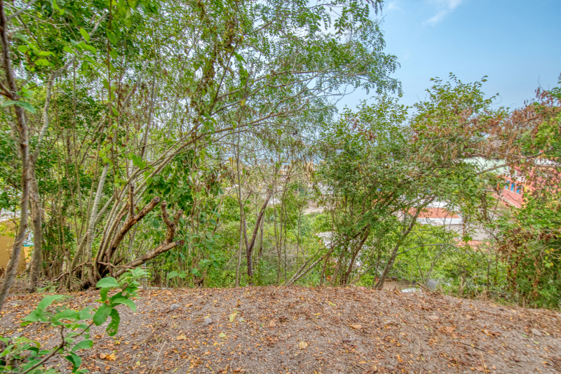 La Manzanilla Realty